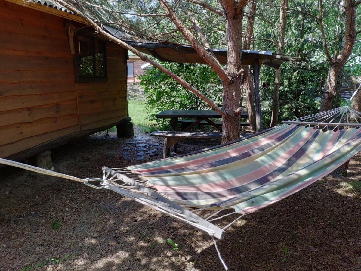 Appartement Zelenyi Rai à Svityaz' Extérieur photo