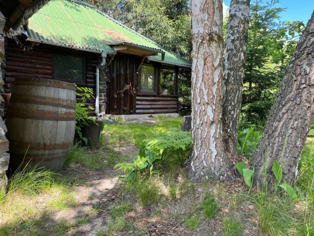 Appartement Zelenyi Rai à Svityaz' Extérieur photo