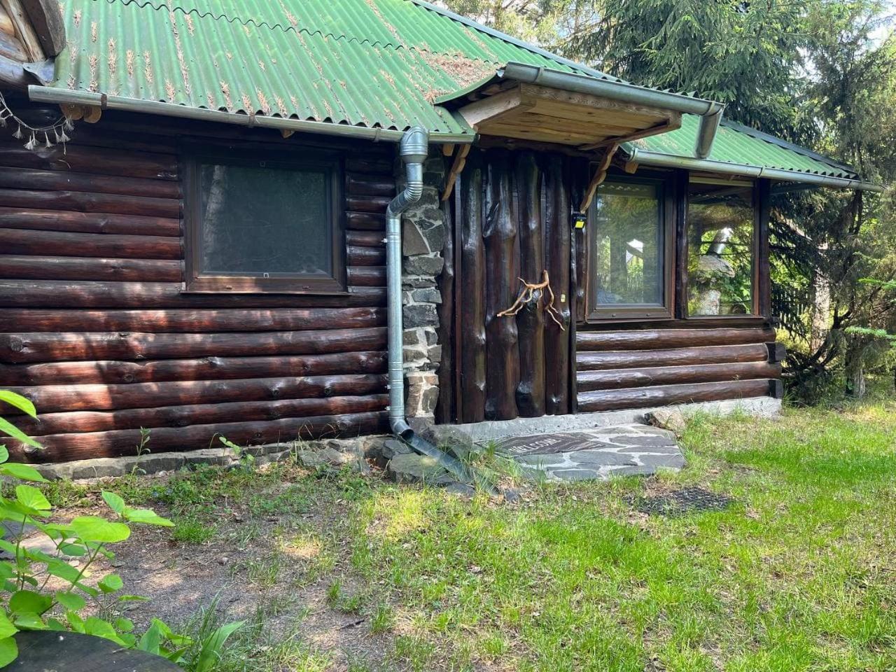 Appartement Zelenyi Rai à Svityaz' Chambre photo