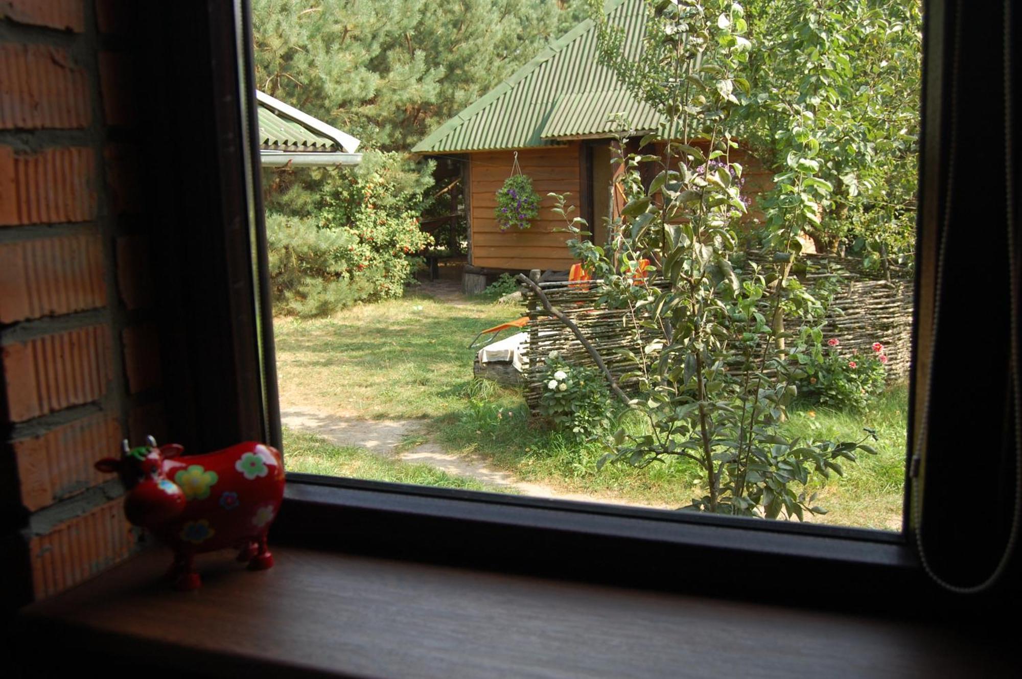 Appartement Zelenyi Rai à Svityaz' Chambre photo